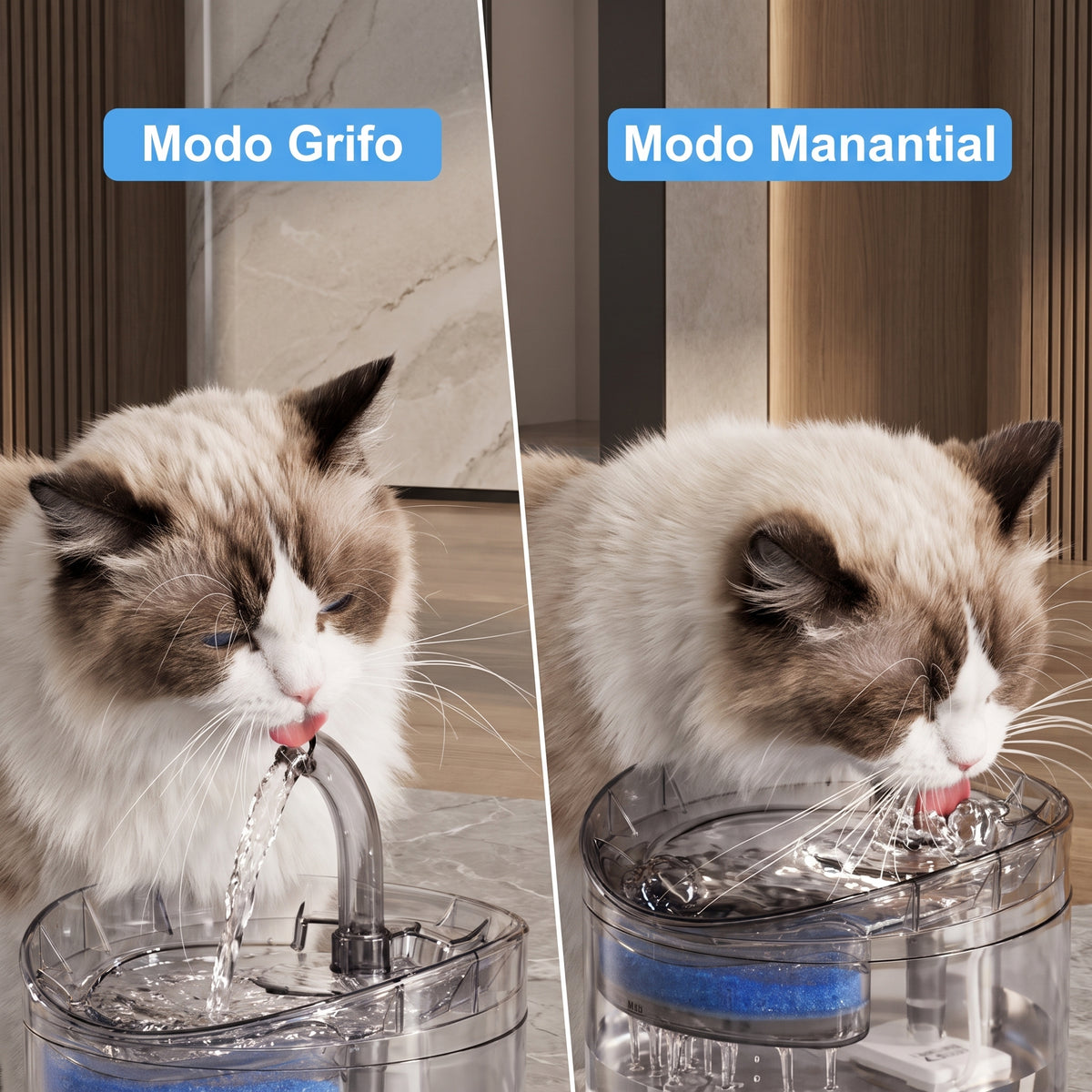 Fuente de mascotas + cepillo vapor