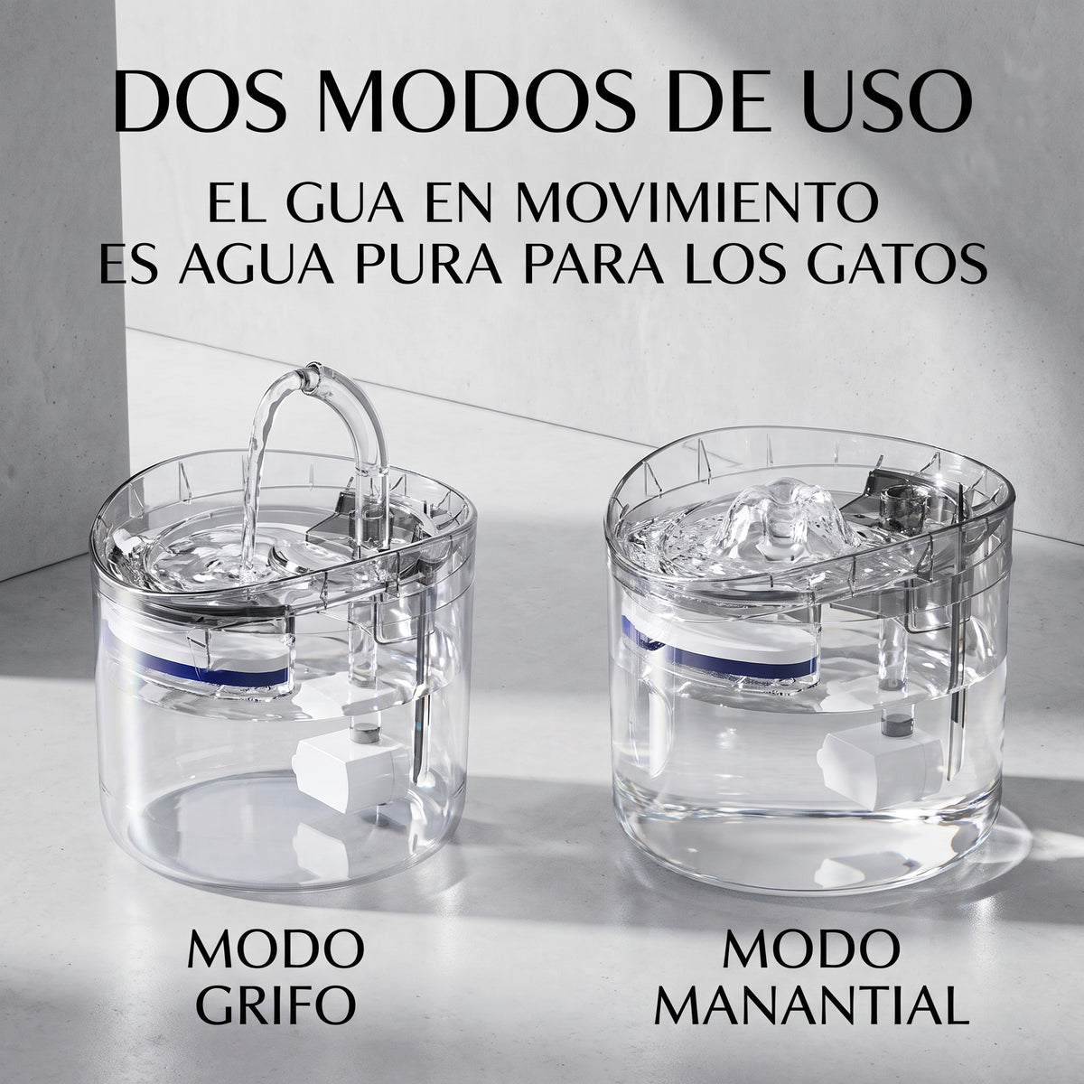 Fuente de mascotas + cepillo vapor